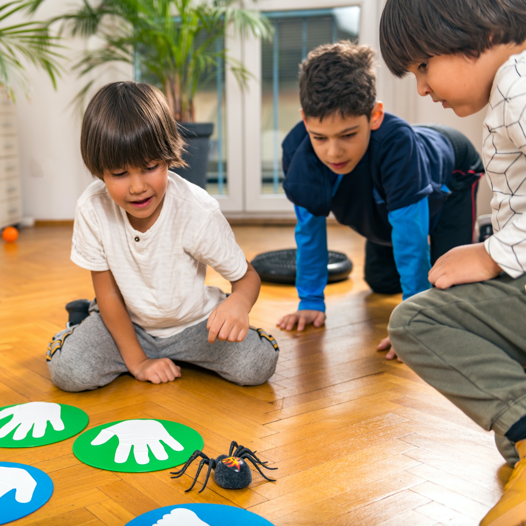 Boys Playing with Toy Spider